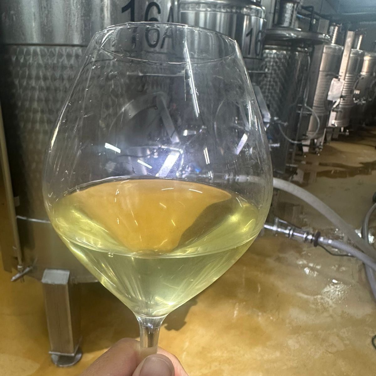 Remediation of Smoke Taint in Winemaking