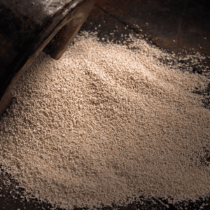 Organic Winemaking in South Africa - VitiFerm BIO